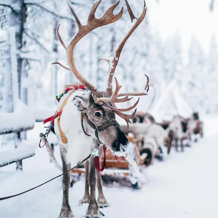 Rovaniemi 32 Appartamento